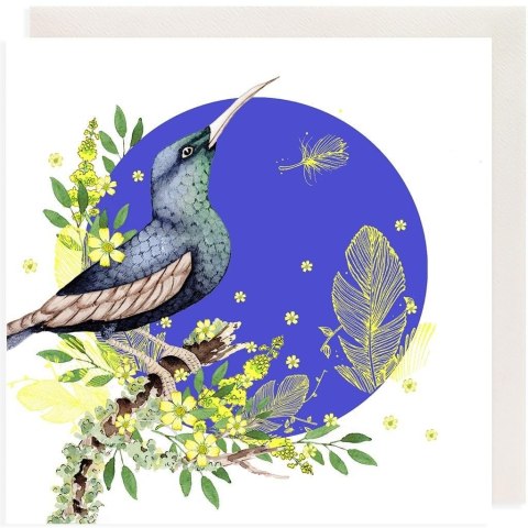 Karnet Swarovski kwadrat CL2011 Koliber