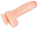 DILDO REALISTIC DONG 8 13-0027