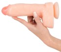 DILDO REALISTIC DONG 8 13-0027