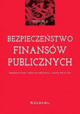 Bezpieczeństwo finansów publicznych w.2