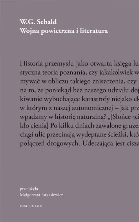 Wojna powietrzna i literatura