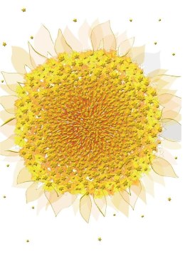 Karnet B6 + koperta MO5516W Słonecznik