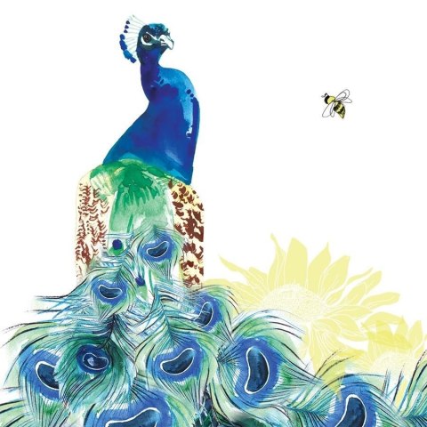 Karnet Swarovski kwadrat CL1235 Paw