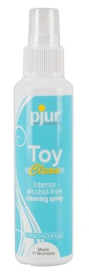 ŚRODEK DO CZYSZCZENIA PJUR TOY CLEAN 100 ML 13-2841