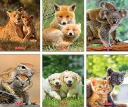 Zeszyt A5/32K kratka z marginesem Animals (10szt)