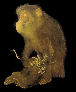 Karnet 17x14cm z kopertą Lacquerware tray