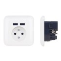 PLATINET WALL SOCKET GNIAZDO ELEKTRYCZNE FRENCH + 2 USB 2.1A [43964]