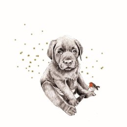 Karnet Swarovski kwadrat Piesek i ptaszek