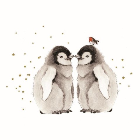 Karnet Swarovski kwadrat Pingwinki i ptaszek