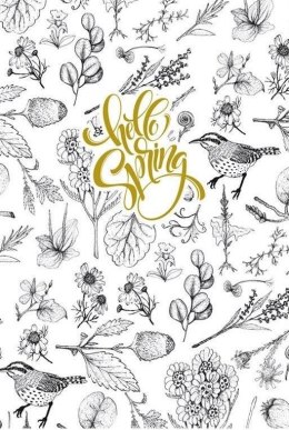 Notatnik ozdobny 145x197/80K TW Ptaszki FRESH