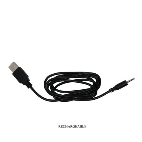 MASAŻER PROSTATY MR PLAY 4 05-1160