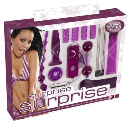 ZESTAW SURPRISE SURPRISE SEX TOY SET 13-7307