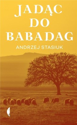 Jadąc do Babadag w.2021