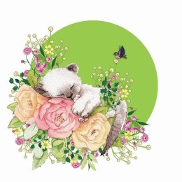 Karnet Swarovski kwadrat CL2002 Kot