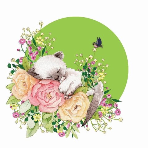 Karnet Swarovski kwadrat CL2002 Kot