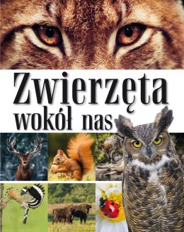 Zwierzęta wokół nas. Encyklopedia dla dzieci