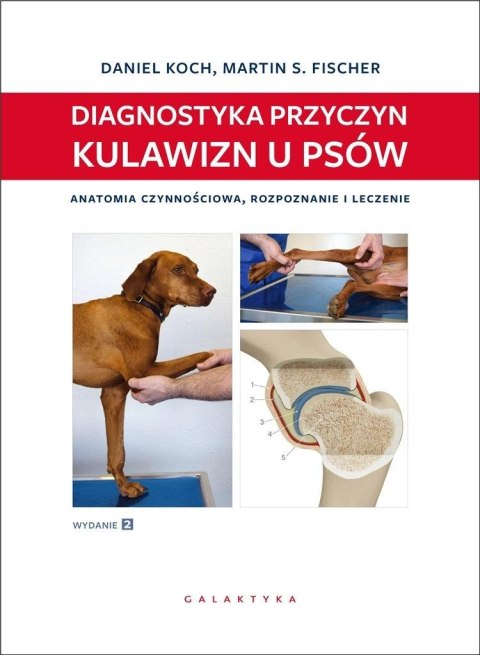 Diagnostyka przyczyn kulawizn u psów w.2