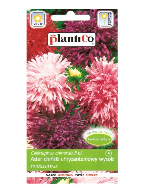 PLATINET NASIONA ASTER CHRYZANTEMOWY CALLISTEPHUS CHINENSIS SEEDS 1 G