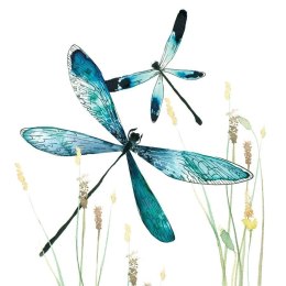 Karnet Swarovski kwadrat CL1232 Ważki