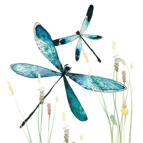 Karnet Swarovski kwadrat CL1232 Ważki