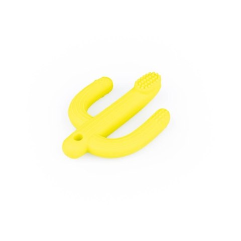 Gryzak Kaktus żółty