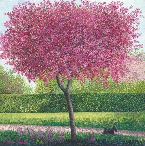 Karnet z kopertą Jabłoń kwiecista