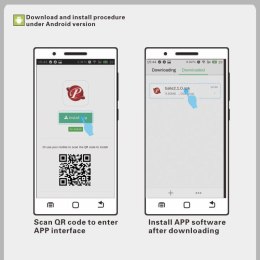 JAJKO PRETTY LOVE - DOREEN 05-1211