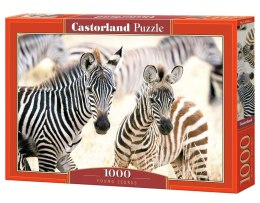 Puzzle 1000 Young Zebras CASTOR