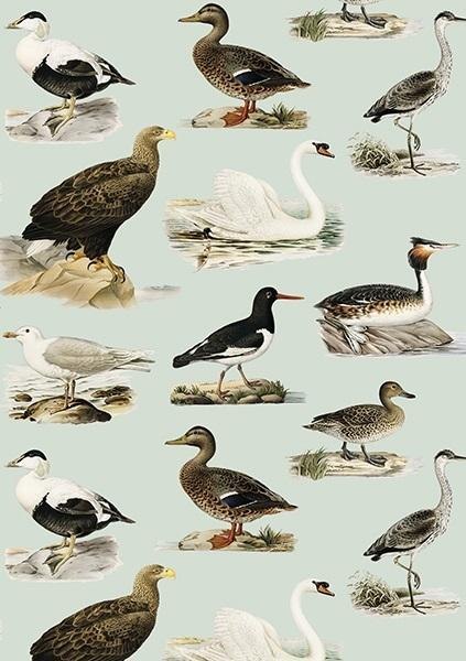 Karnet ST408 B6 + koperta Ptaki