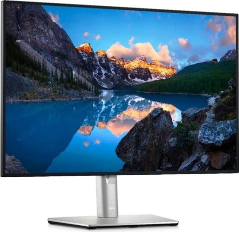 Monitor DELL 24.1" 1920 x 1200 210-AXMB Czarno-srebrny