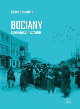 Bociany. Opowieść o sztetlu