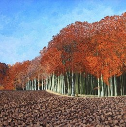 Karnet z kopertą Jesienny buk