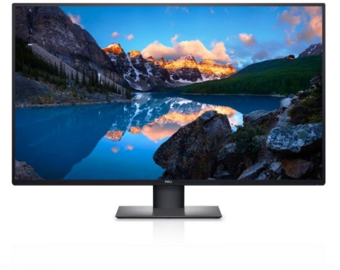 Monitor DELL 42.5" 3840 x 2160 210-BFIS Czarny