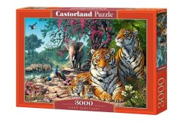 Puzzle 3000 Tiger Sanctuary