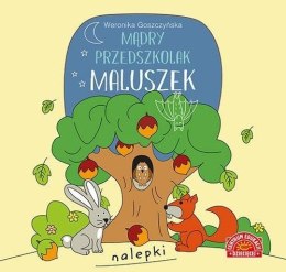 Mądry przedszkolak Maluszek Książeczka z nalepkami