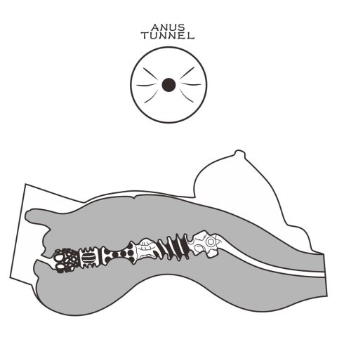 MASTURBATOR STREETGIRL'S #8 24-0380