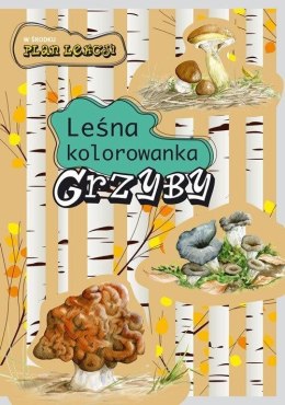 Leśna kolorowanka. Grzyby