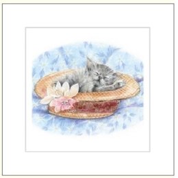 Karnet 16x16cm + koperta Kot rysowany