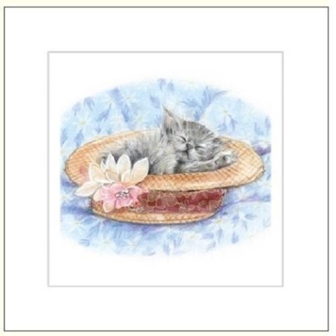 Karnet 16x16cm + koperta Kot rysowany