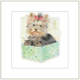 Karnet 16x16cm + koperta Pies rysowany