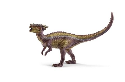 Dracorex