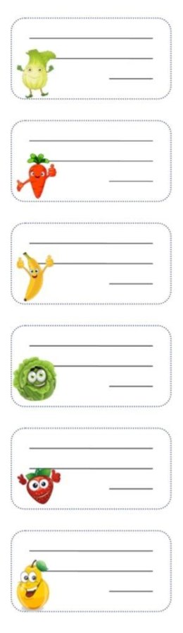 Nalepki na zeszyt NSN06