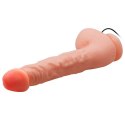 DILDO SEXTOY TOP PENIS 05-1006