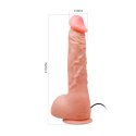 DILDO SEXTOY TOP PENIS 05-1006