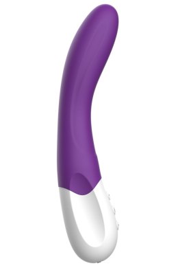 WIBRATOR LIEBE BEND IT RECHARGEABLE PURPLE 36-0023