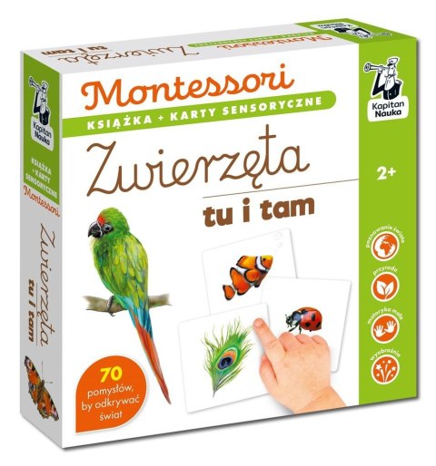 Montessori. Zwierzęta tu i tam. Karty sensoryczne