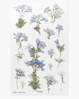 Naklejki ozdobne kwiaty - Floks