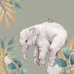 Karnet Swarovski kwadrat CL4703 Słoń