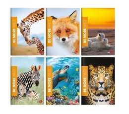 Zeszyt A4/72K linia Be More Wild (10szt)