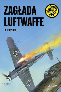 Zagłada Luftwaffe